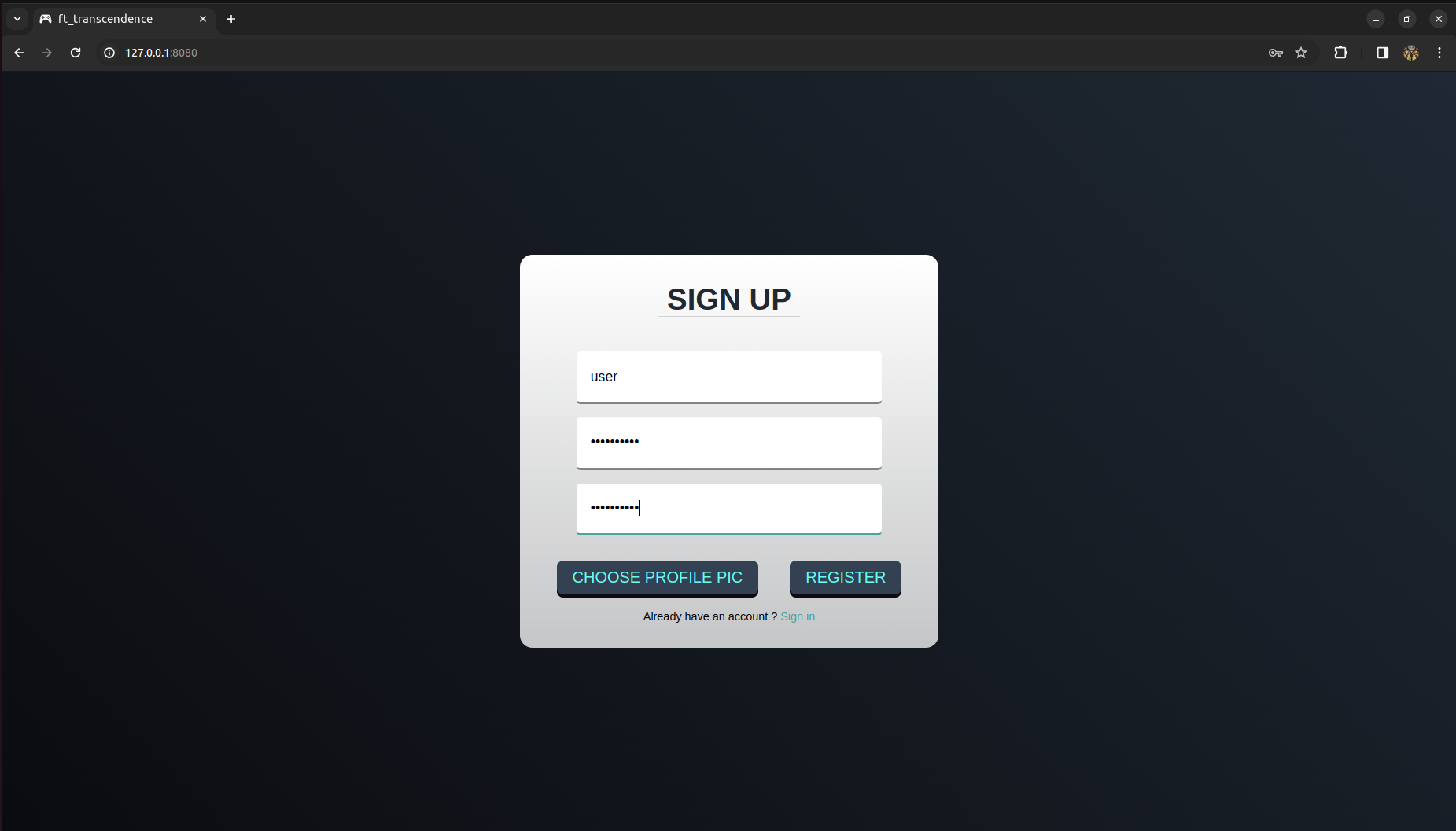 Project Screenshot