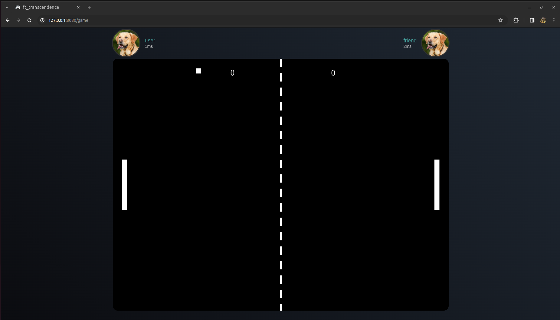 Project Screenshot